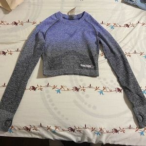 Gymshark Ombré Seamless Crop Top